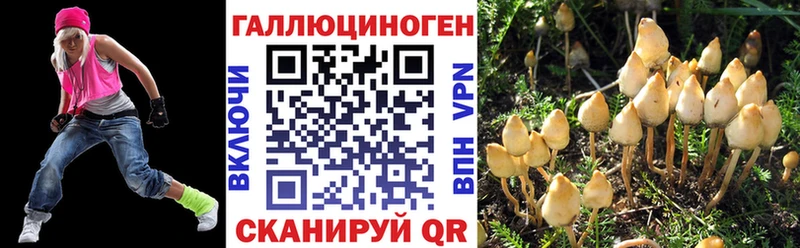 закладки  Новосиль  Галлюциногенные грибы Psilocybine cubensis 